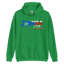 Load image into Gallery viewer, Puerto Rico Hoodie
