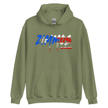 Load image into Gallery viewer, Puerto Rico Hoodie